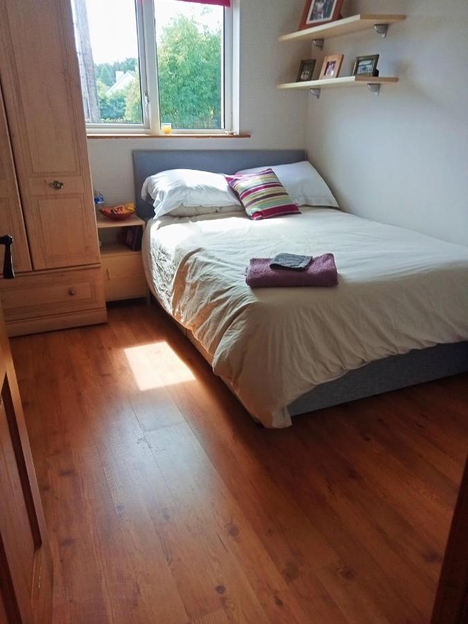 Mary'S Place Daire Castlewellan Dış mekan fotoğraf